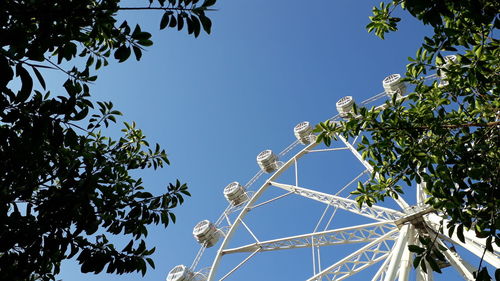 Low angle view of flower trees against clear blue sky