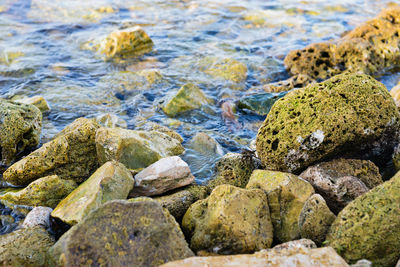 Close-up of stones in sea