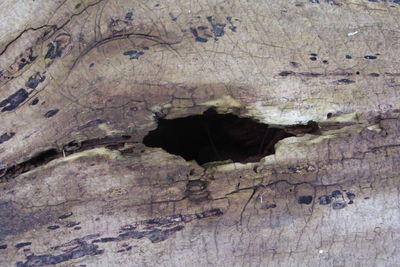 Close-up of rock formation in cave