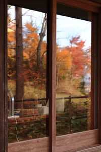 Trees seen through window during autumn