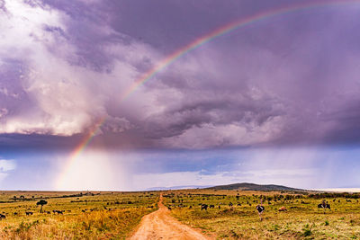 rainbow