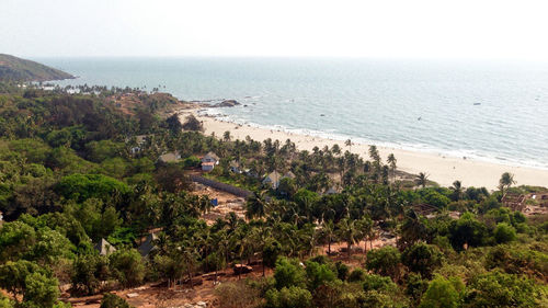 High angle view of lush foliage against calm sea