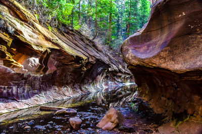 Low angle view of rock formation in forest