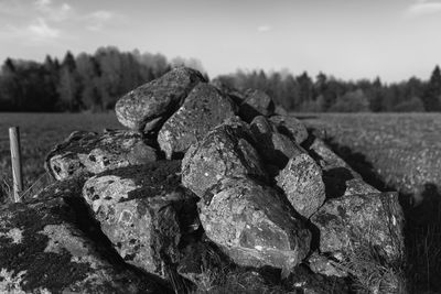 Close-up of rocks on field against sky