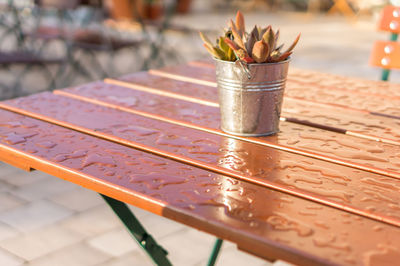 Close-up of potted plant on wet table