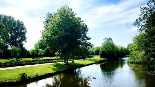 Scenic view of lake and trees in park against sky