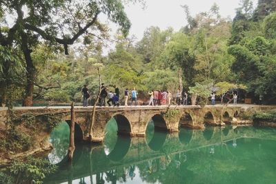 People in water by trees against sky