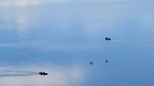 High angle view of ducks swimming on lake against sky