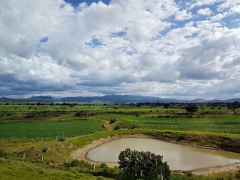 Scenic view of field against sky
