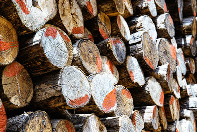 Full frame shot of logs in forest