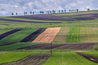 Scenic view of agricultural field against cloudy sky