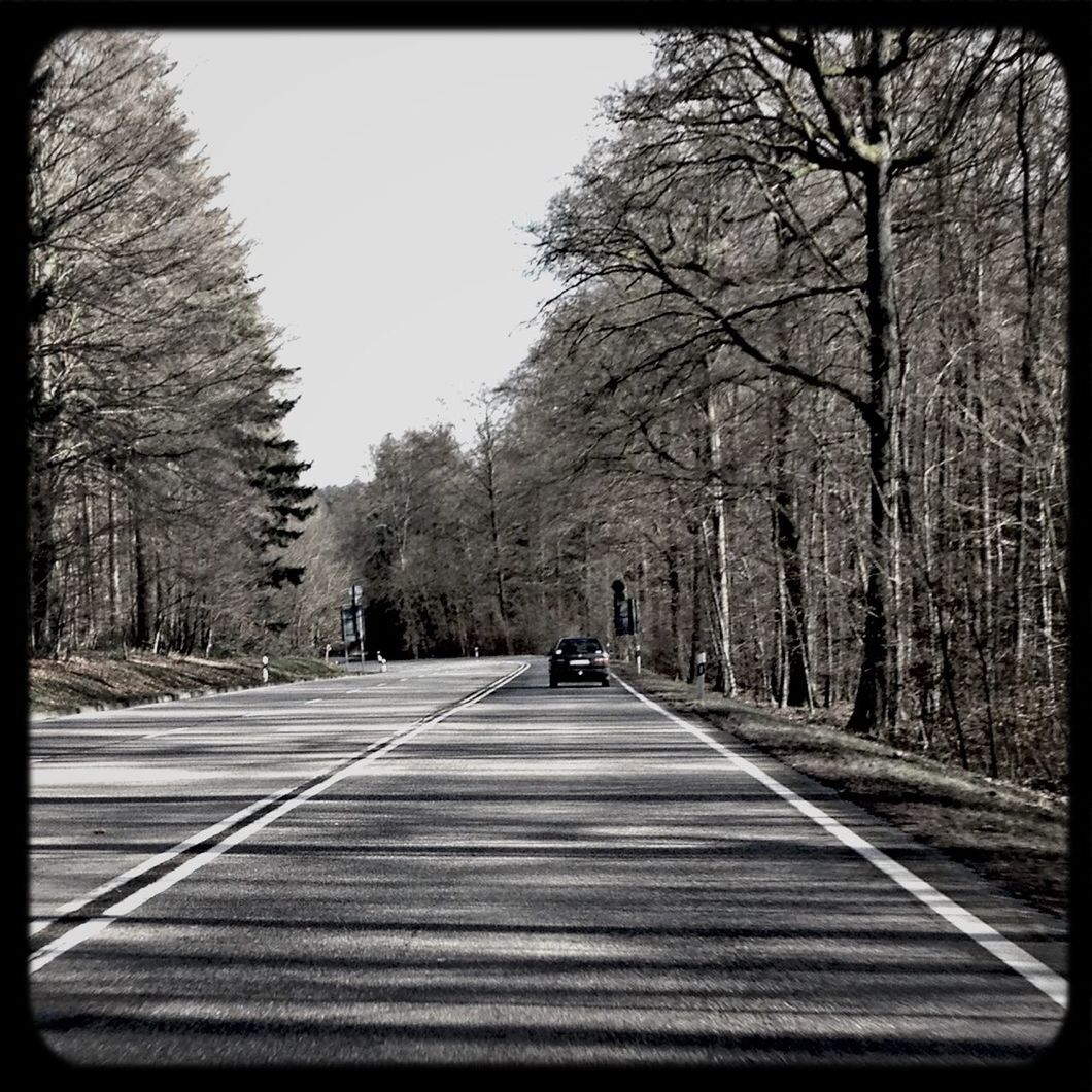 tree, the way forward, transfer print, diminishing perspective, auto post production filter, vanishing point, transportation, treelined, clear sky, bare tree, road, tranquility, tranquil scene, nature, growth, sky, day, empty, outdoors, footpath