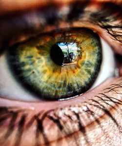 Close-up portrait of human eye