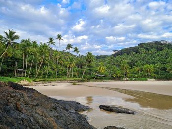 Scenic view of beach against sky