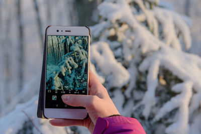 Cropped hand of woman photographing with mobile phone