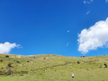 Scenic view of field against blue sky