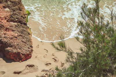 High angle view of rocks on beach