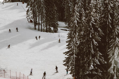 Group of people on snow covered land