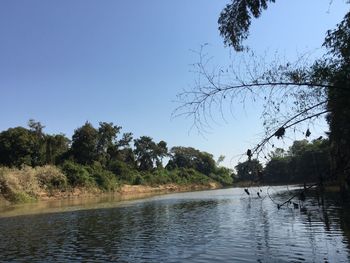 Scenic view of river against clear sky