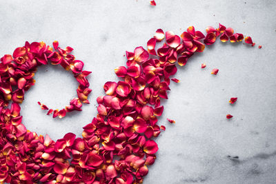 High angle view of heart shape on red flowers