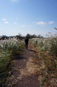 Rear view of man walking on field against sky