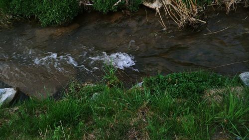 High angle view of water flowing through rocks