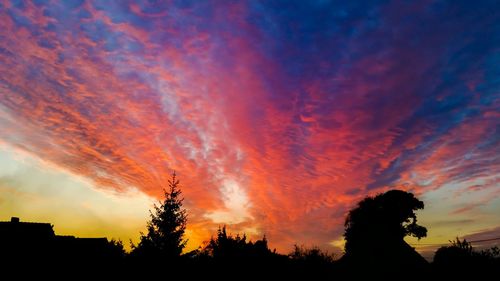 Silhouette of trees at sunset