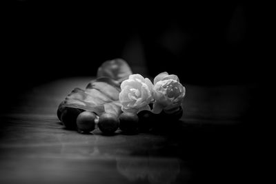 Close-up of roses on table
