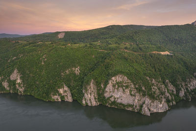 environment