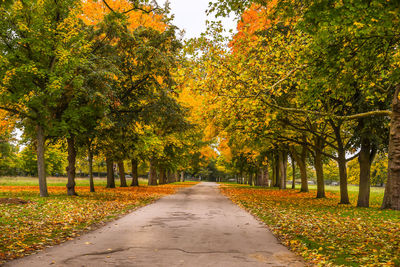 Road amidst trees during autumn