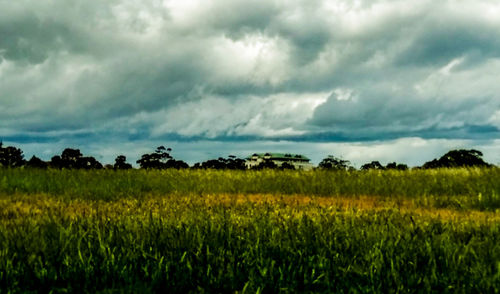 Scenic view of field against cloudy sky