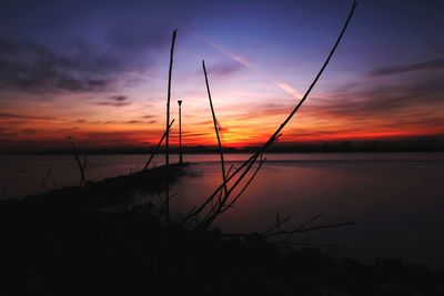 Silhouette plants by sea against romantic sky at sunset