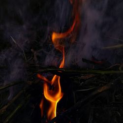 Close-up of bonfire on field