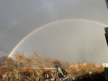 Rainbow over trees against sky