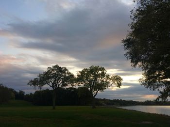 Trees on field against sky during sunset