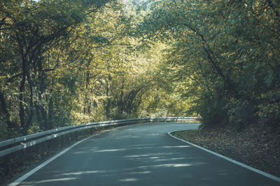 Tree covered road with right curve ahead