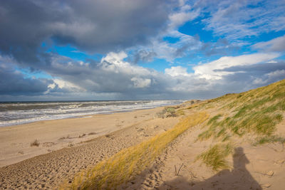 Scenic view of beach against sky