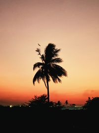 Silhouette palm tree against romantic sky at sunset