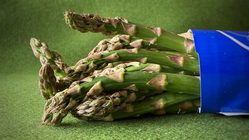 Close-up of fresh green leaf