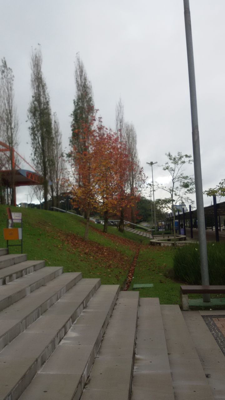 tree, transportation, built structure, growth, architecture, day, railing, nature, building exterior, outdoors, bicycle, sunlight, sky, plant, grass, mode of transport, the way forward, no people, footpath, green color