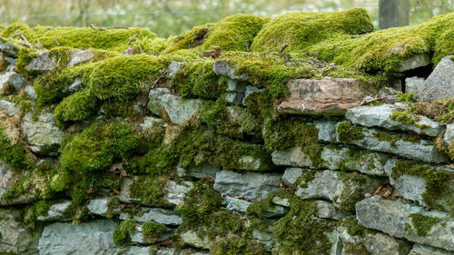 Full frame shot of stone wall