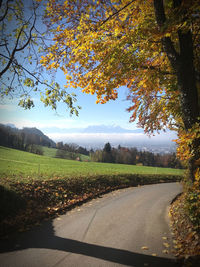 Road by trees on field against sky during autumn