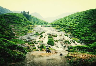 Stream flowing through rocks