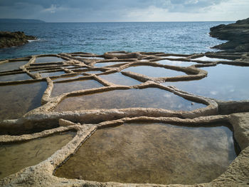 Close-up of sea shore against sky