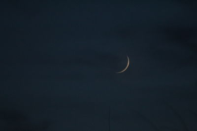 Low angle view of moon in sky at night