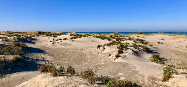 Scenic view of beach against clear blue sky