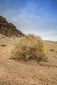 Scenic view of sand dunes against sky