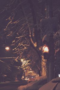 Road passing through illuminated park