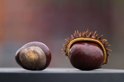 Close-up of chestnuts on table