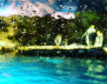 Close-up of water drops on leaf